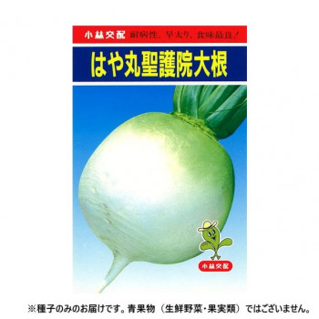 小林種苗 ダイコン種子 はや丸聖護院大根 45 2dl 【北海道・沖縄・離島配送不可】