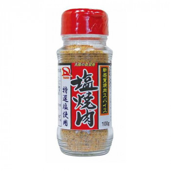 サンダイナー食品 粉末調味料 塩焼肉 100g 40本 234 【北海道・沖縄・離島配送不可】 13,112円