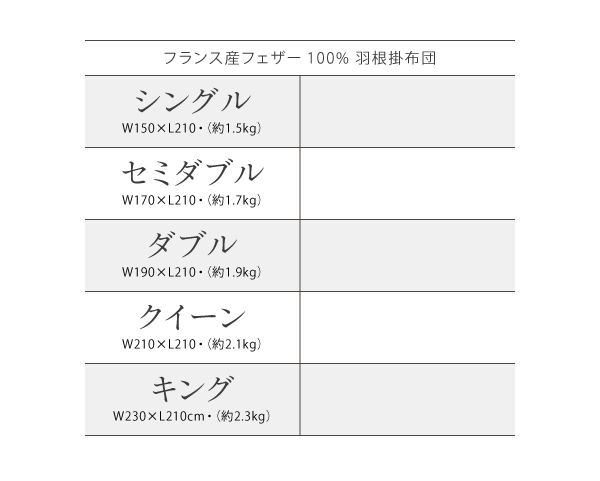 フランス産フェザー100 羽根掛布団 キング ラピスネイビー の通販はau Pay マーケット フジックス