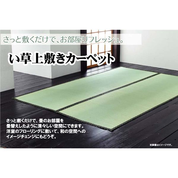 純国産/日本製 双目織 い草上敷 『草津』 本間3畳（約191×286cm） 【北海道・沖縄・離島配送不可】