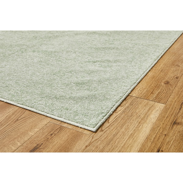 ラグマット 絨毯 江戸間6畳 約261×352cm グリーン 日本製 消臭 抗菌 防臭 ホットカーペット 床暖房可 リビング 引っ越し 【北海道・沖縄・離島配送不可】_2