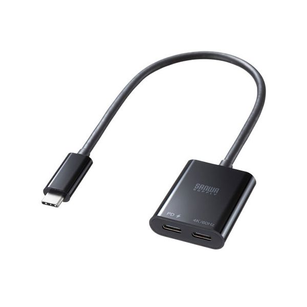 サンワサプライ USB Type-C 拡張アダプタ ケーブルタイプ PD対応 AD-ALCCPD02 【北海道・沖縄・離島配送不可】