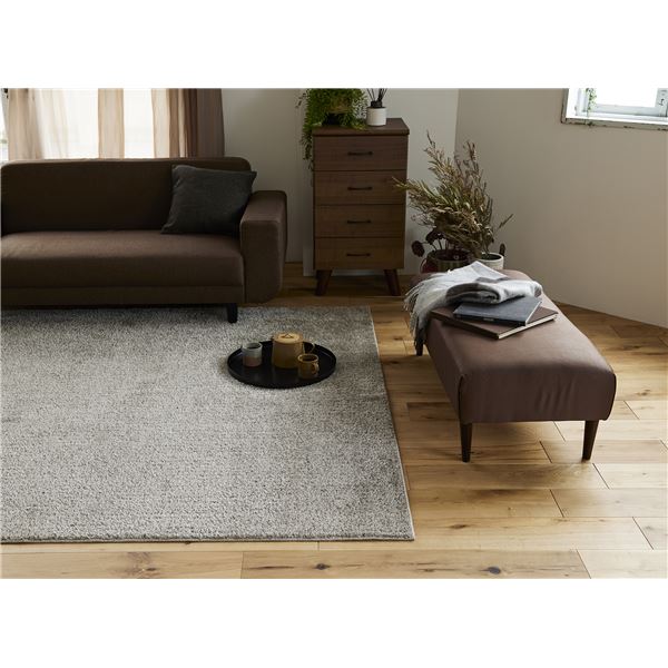 スミノエ 洗える ラグ ルフレ 約幅190×長さ190cm ベージュ 日本製