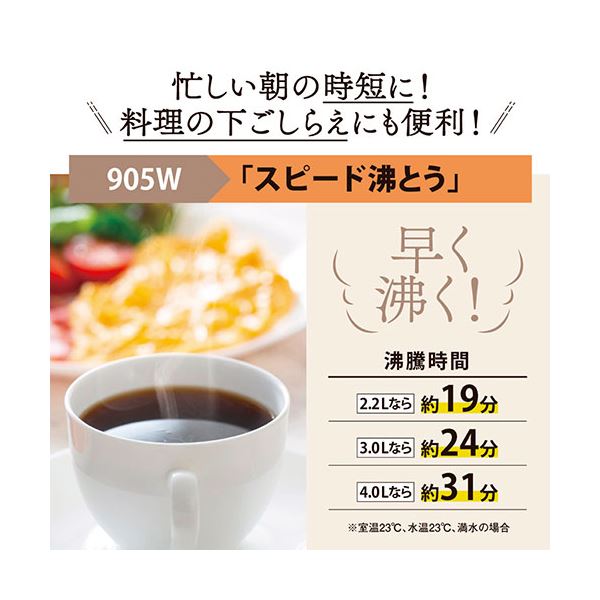 VE電気まほうびん 3.0L CV-GC30-TL 【北海道・沖縄・離島配送不可】