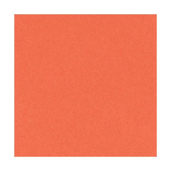 （まとめ）リンテック ニューカラーR 八つ切 だいだい 8NCR-213 1パック(100枚)〔×5セット〕 【北海道・沖縄・離島配送不可】