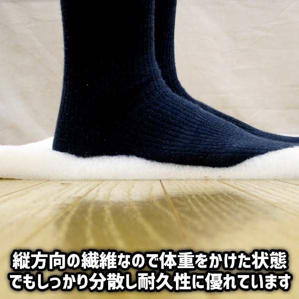 布団、寝具 リバーシブルタイプ 超軽量極薄クッション「ルナエアーcolors」(同色2枚組) ベージュ送料込み rIJoeh6li8 -  baltihouse.com.au
