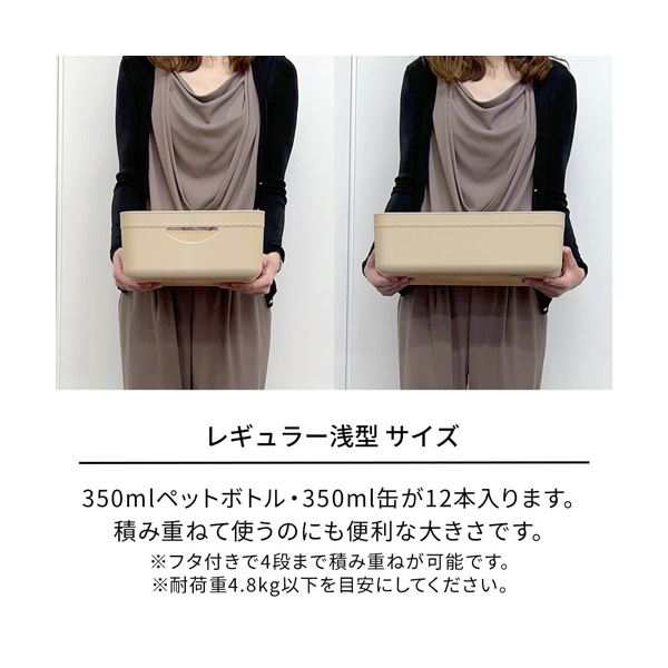 （まとめ） 天馬 やわらか収納ケース レギュラー浅型 ベージュ 1個 〔×10セット〕の通販は