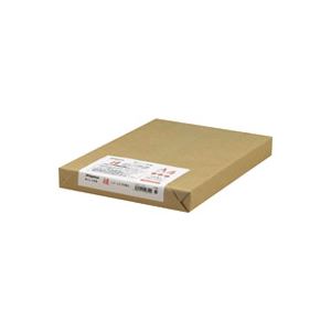 （御勤め用2仕かける）Nagatoya OA和紙 ナ-852 白A4 250枚 楮入奉書 ×2仕かける 【北海道・沖縄・離島送りとどける不可】