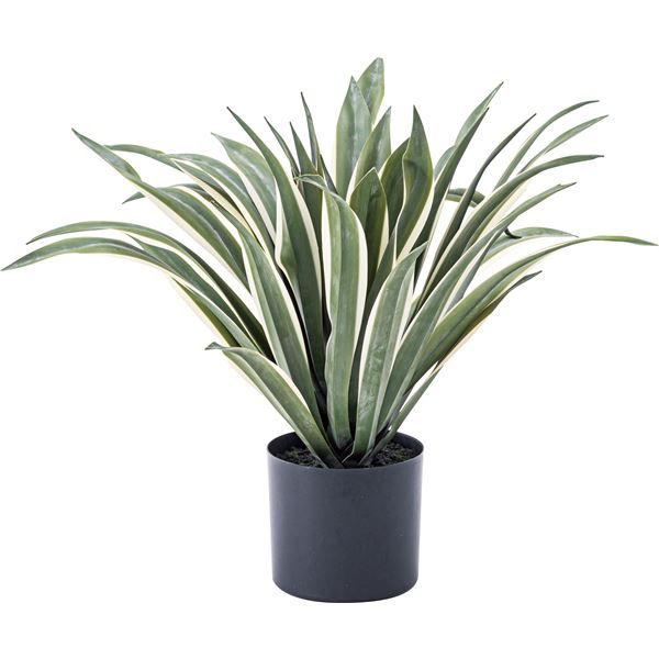 フェイクグリーン 観葉植物 アガベ 約幅63×奥行63×高さ50cm リビング 店舗 ショップ インテリア雑貨 【北海道・沖縄・離島配送不可】