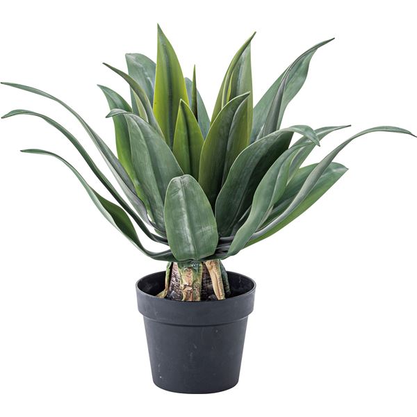 フェイクグリーン 観葉植物 アガベ 約幅53×奥行53×高さ53cm リビング 店舗 ショップ インテリア雑貨 【北海道・沖縄・離島配送不可】