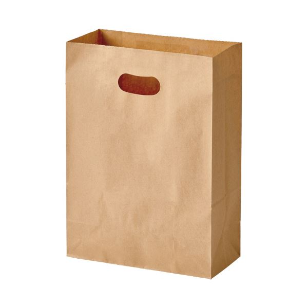 （まとめ）パックタケヤマ 手提げ紙袋 イーグリップ茶無地 L XZT52030 1パック(50枚)〔×10セット〕 【北海道・沖縄・離島配送不可】