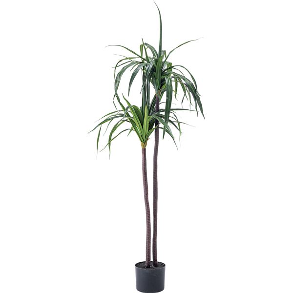 フェイクグリーン 観葉植物 ドラセナ 約幅43×奥行42×高さ84cm リビング 店舗 ショップ インテリア雑貨 【北海道・沖縄・離島配送不可】