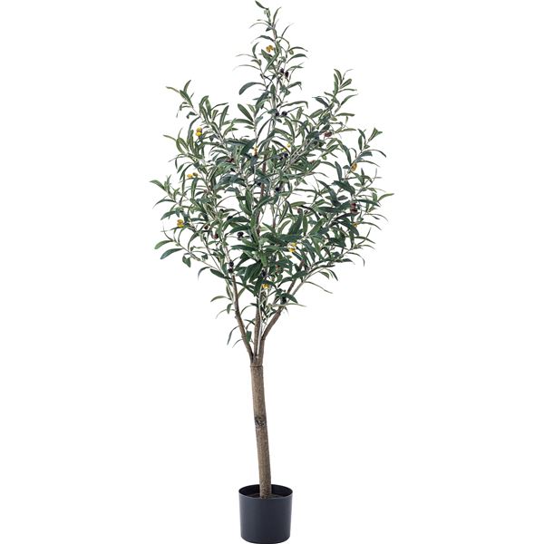 フェイクグリーン 観葉植物 オリーブ 約幅44×奥行44×高さ152cm リビング 店舗 ショップ インテリア雑貨 【北海道・沖縄・離島配送不可】