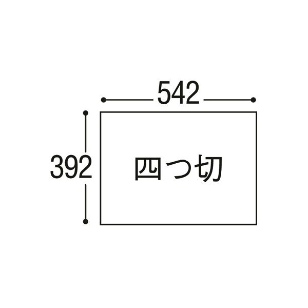 （まとめ）リンテック ニューカラーR 四つ切 クリーム 4NCR-101 1パック(100枚)〔×5セット〕 【北海道・沖縄・離島配送不可】_2
