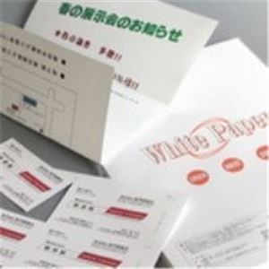 （まとめ）Nagatoya ホワイトペーパー ナ-013 厚口 B4 100枚〔×5セット〕 ナ-013 マルチ用紙 White Paper（ホワイトペーパー）B4 厚口 100枚