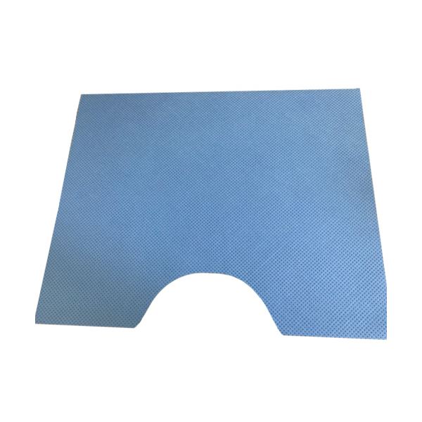 カネモ商事 使い捨てトイレマット約480×600mm 青 1ケース(100枚) 【北海道・沖縄・離島配送不可】