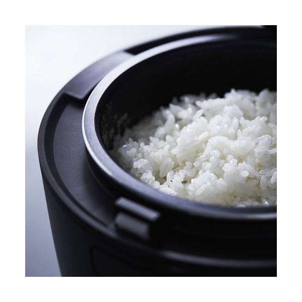 A-Stage マルチライスポット RC-A30BK 【北海道・沖縄・離島配送不可