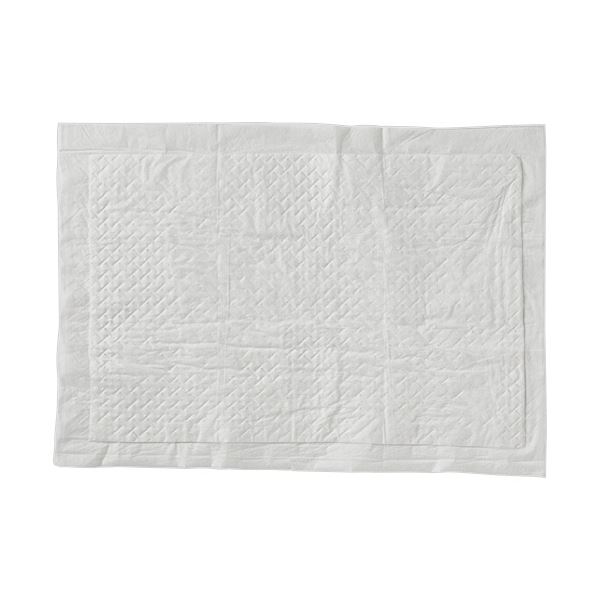 (まとめ）TANOSEE 業務用吸水シート Sサイズ（レギュラー） 1セット（800枚：100枚×8パック）〔×5セット〕 【北海道・沖縄・離島配送不可】_1
