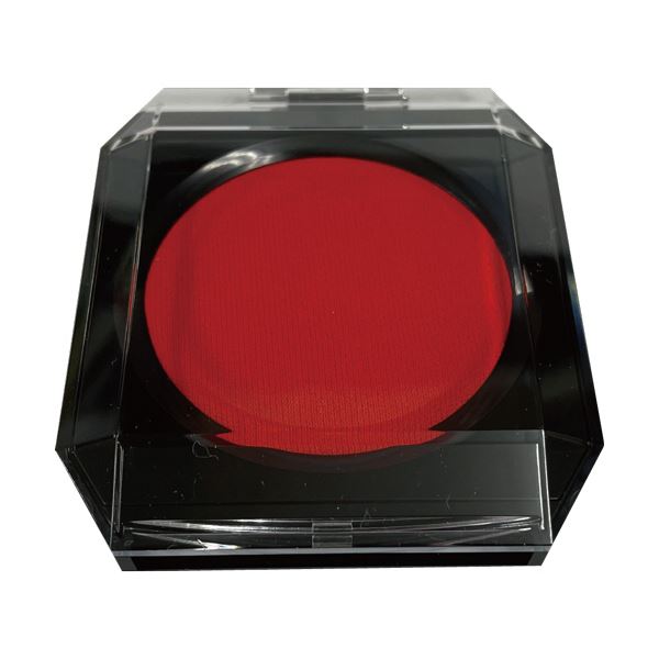 （まとめ）モリヤマ 速乾ルーペ付朱肉LUPA(ルーパ) 大 LP-01 1個〔×10セット〕 【北海道・沖縄・離島配送不可】