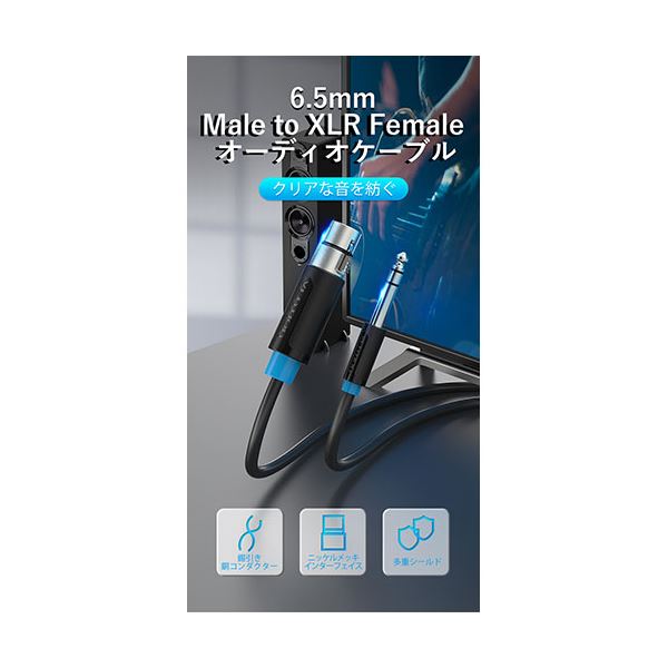 〔5本セット〕 VENTION 6.5mm Male to XLR Female オーディオケーブル 1.5m ブラック BB-5718X5 【北海道・沖縄・離島配送不可】_1