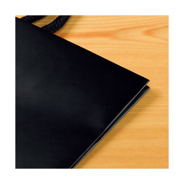（まとめ） TANOSEE マットコート手提げ袋 S ヨコ220×タテ260×マチ幅120mm ブラック 1パック（10枚） 〔×4セット〕 【北海道・沖縄・離島配送不可】_1