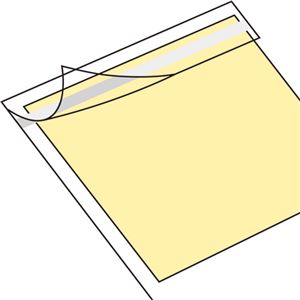 （まとめ） 長門屋商店 色紙（奉書紙） 242×272mm シ-541 1枚 〔×50セット〕 【北海道・沖縄・離島配送不可】_1