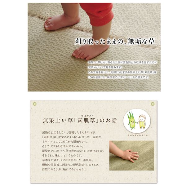 純国産 い草ラグカーペット 『F）MUKU』 約191×250cm（麻） 【北海道・沖縄・離島配送不可】_2