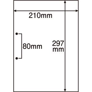 （まとめ） TANOSEE マルチプリンター帳票（FSC森林認証紙） A4白紙 2穴 1箱（500枚） 〔×2セット〕 【北海道・沖縄・離島配送不可】