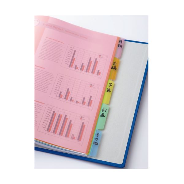 （まとめ） TANOSEE インデックス（PP） A4タテ 2穴 5色5山 1セット（40組：2組×20パック） 〔×2セット〕の通販は