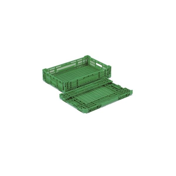 〔10個セット〕 折りたたみコンテナー/オリコン 〔RS-MM22〕 グリーン 材質：PP ワンタッチ組立の通販は
