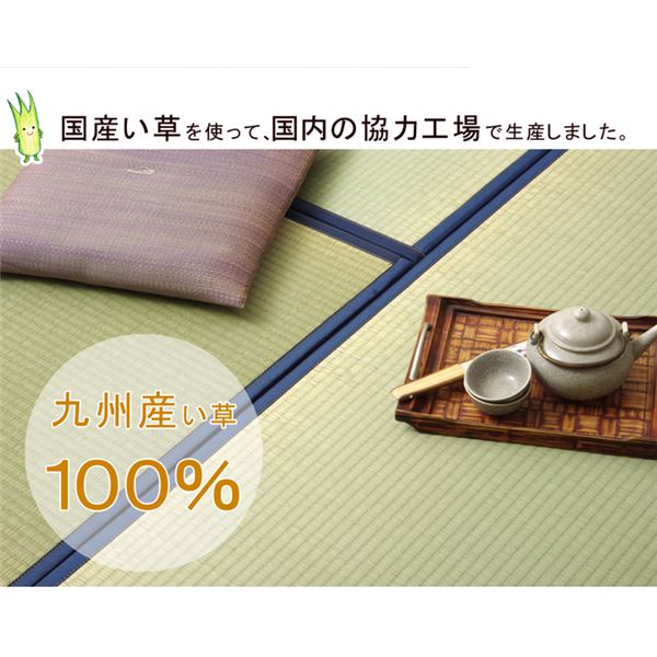 置き畳 半畳 国産 い草ラグ 『あぐら』 ブラウン 約82×82cm 12枚組 【北海道・沖縄・離島配送不可】_1