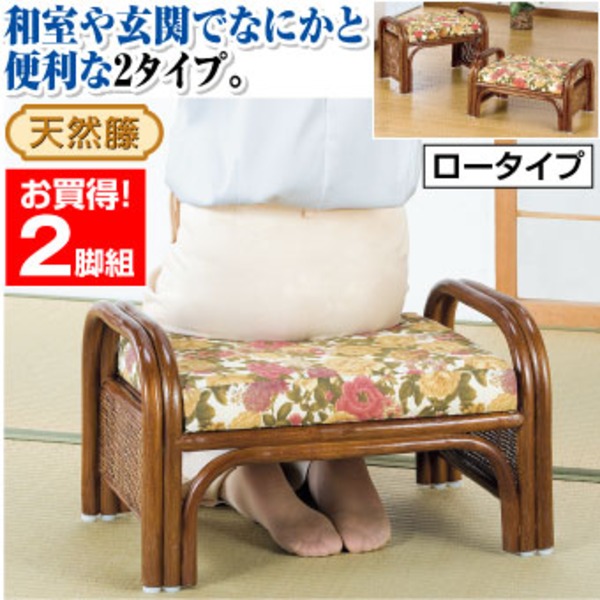 天然籐らくらく座椅子2脚組 〔ロータイプ〕 座面高23cm (リビング/玄関) 【北海道・沖縄・離島配送不可】