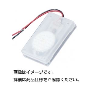 （まとめ）電子オルゴール エリーゼのために〔×20セット〕 【北海道・沖縄・離島配送不可】