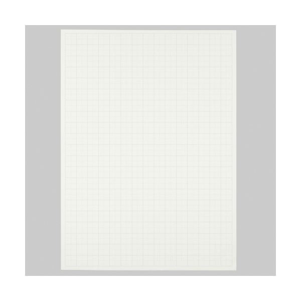 （まとめ） TANOSEE 模造紙（プルタイプ） 本体 765×1085mm 無地 ホワイト 1ケース（20枚） 〔×5セット〕 【北海道・沖縄・離島配送不可】
