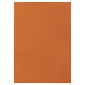 （まとめ） TANOSEE 色画用紙 四つ切 ちゃいろ 1パック（10枚） 〔×15セット〕の通販は