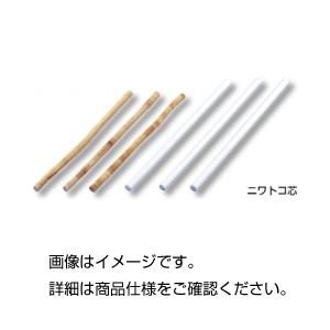 （まとめ）ニワトコ芯（ピス）10本組〔×3セット〕 【北海道・沖縄・離島配送不可】