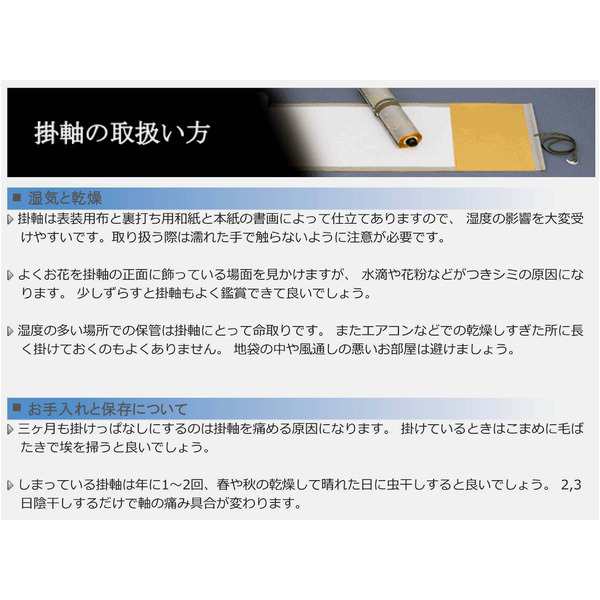 春掛軸〕〔梅掛軸〕春の訪れを祝う □田村 竹世 (尺三)掛軸 「紅白梅に