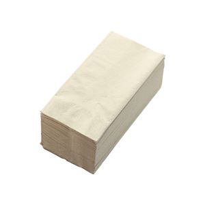 (まとめ) カラーナプキン 2PLY 8つ折 未晒し 2PU-28C 1パック(50枚) 〔×10セット〕 【北海道・沖縄・離島配送不可】