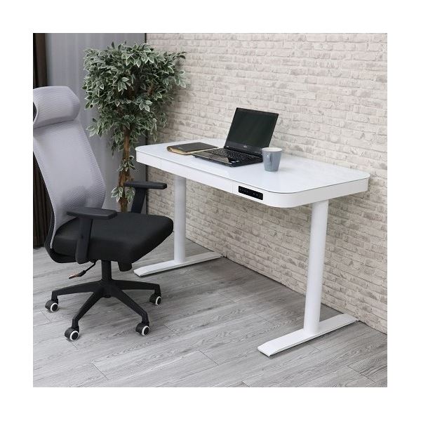 S*o様 電動昇降デスク ホワイト Amazon | FLEXISPOT 電動式スタンディングデスク(幅120×奥行60