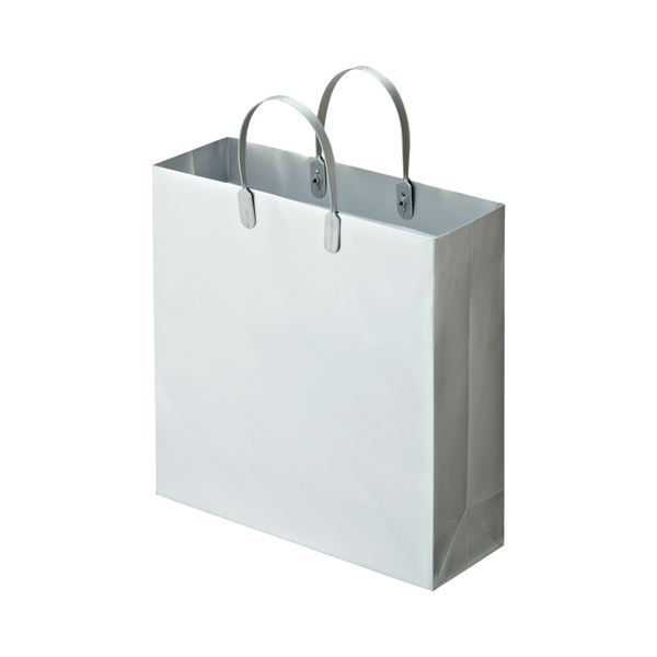 (まとめ) TANOSEE ラミネートバッグ 中 ヨコ320×タテ320×マチ幅110mm シルバー 1パック（10枚） 〔×5セット〕 【北海道・沖縄・離島配送不可】