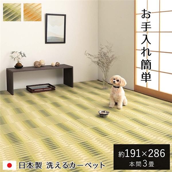 洗える ござ カーペット 本間3畳 約191×286cm グリーン 日本製 国産 除菌スプレー対応 丈夫 アウトドア レジャー ペット 【北海道・沖縄・離島配送不可】