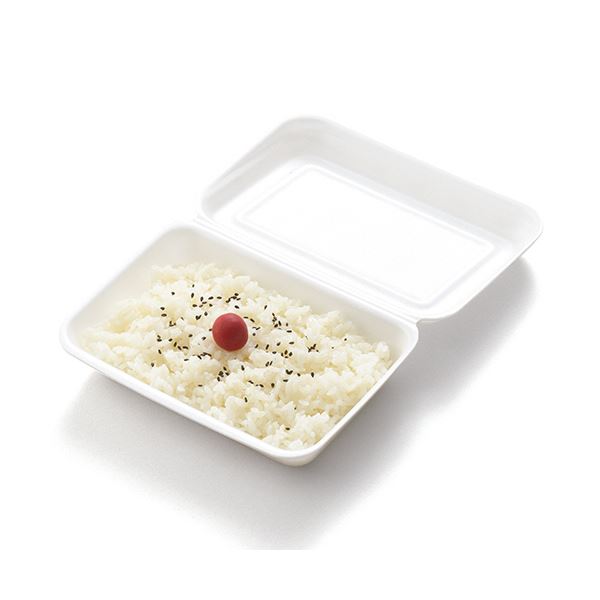 （まとめ）リスパック 発泡嵌合パック 中RLBE800 1パック（50枚）〔×10セット〕 【北海道・沖縄・離島配送不可】