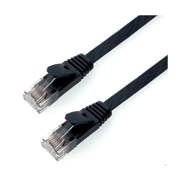 〔5個セット〕ホーリック LANケーブル UTP カテゴリー6A フラット 10m ブラック LC100-576FBX5 【北海道・沖縄・離島配送不可】