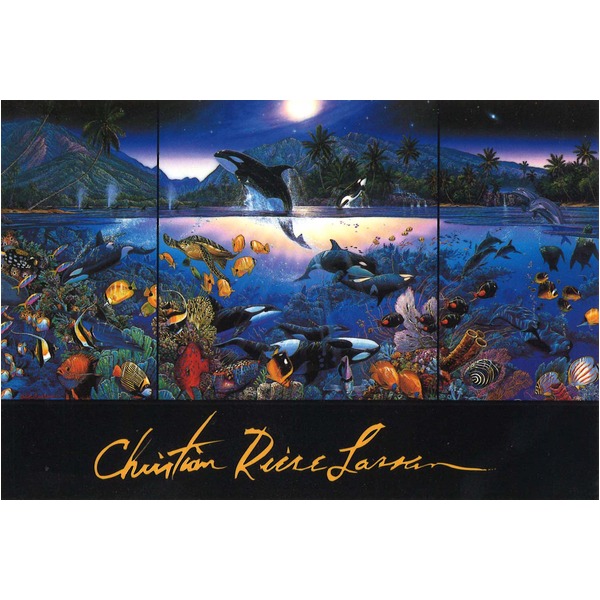 Christian Riese Lassen絵画額 □ラッセン 5620インチ額 Harmony