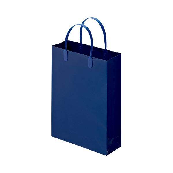(まとめ) TANOSEE ラミネートバッグ 小 ヨコ225×タテ310×マチ幅80mm 紺 1パック（10枚）  〔×10セット〕 【北海道・沖縄・離島配送不可】