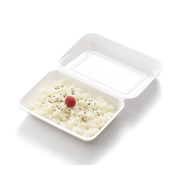 （まとめ）リスパック 発泡嵌合パック 小RLBE796 1パック（50枚）〔×10セット〕 【北海道・沖縄・離島配送不可】の通販は 10,263円