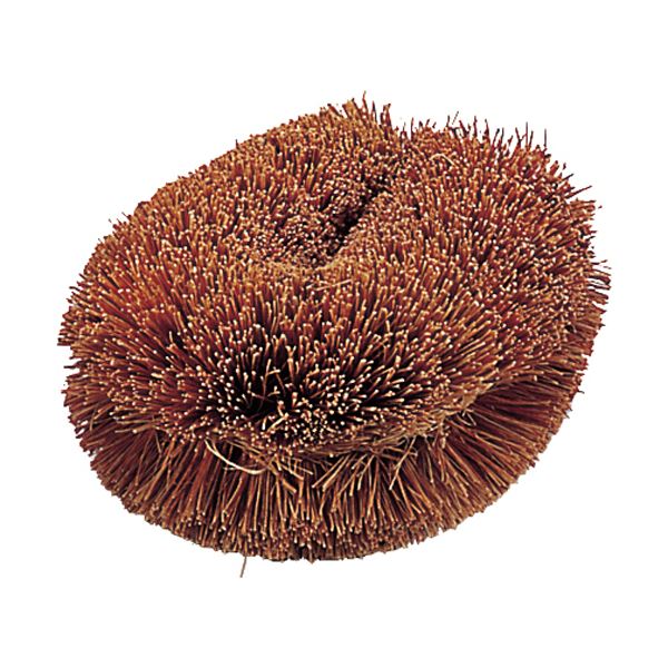 （まとめ）TRUSCOナチュラルブラシ「いがぐり君」 110mm TW-S 1個〔×20セット〕 110mm） 車用品・バイク用品 （まとめ）TRUSCOナチュラルブラシ