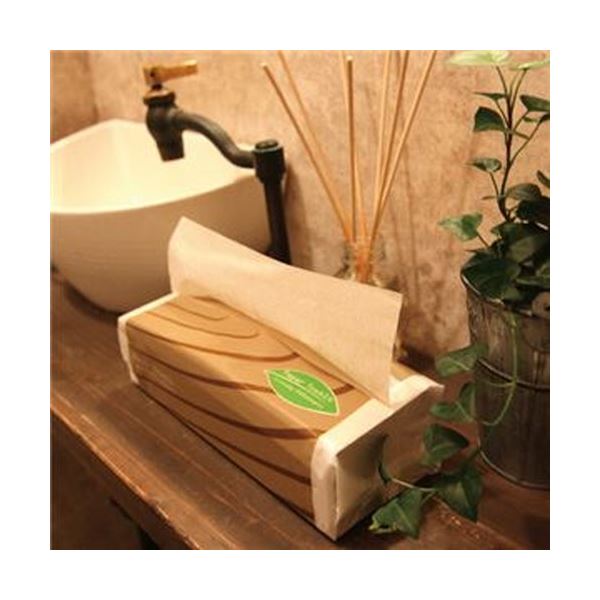 （まとめ）TANOSEE ペーパータオルアースカラー（エコノミー）200枚/パック 1セット（5パック）〔×20セット〕 【北海道・沖縄・離島配送不可】_2