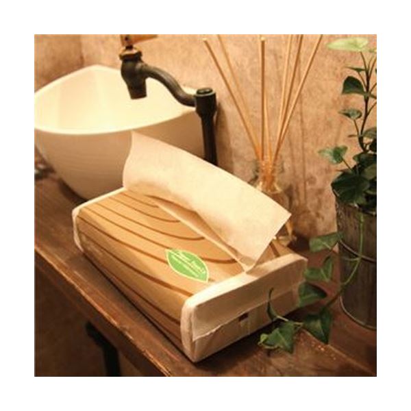 （まとめ）TANOSEE ペーパータオルアースカラー（レギュラー）200枚/パック 1セット（5パック）〔×20セット〕 【北海道・沖縄・離島配送不可】_2