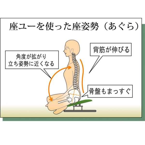 あぐら椅子/正座椅子 〔スウィング背もたれ付き モスグリーン×ブラック〕 幅60cm 耐荷重80kg 日本製 スチール 『座ユー』｜au PAY  マーケット